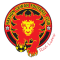 Nakhon Sawan FC logo