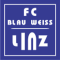 BW Linz Nữ logo