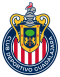 Chivas Guadalajara U18 logo