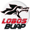 Lobos BUAP logo