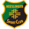 Heeslinger SC logo