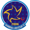 Shanghai Lucky Star FC logo