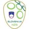 Slovenia VI logo