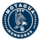 Motagua Reserves logo