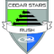 Cedar star logo