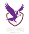 Boroondara Eagles FC logo