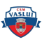 CSM Vaslui logo