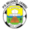 PS Muaro Jambi logo