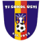 TJ Sokol Usti logo