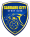 Caruaru City FC logo