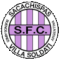 CSyD Sacachispas logo