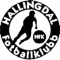 Hallingdal logo