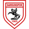 Samsunspor logo