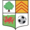 AFC Llwydcoed logo