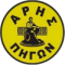 Aris Pigon logo