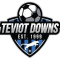 Teviot Downs SC logo