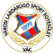 Vac VLSE U19 logo