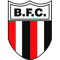 Botafogo SP logo