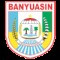 PS Banyuasin logo