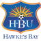 Hawkes Bay United U20 logo