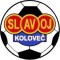 Slavoj Kolovec logo