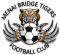 Menai Bridge Tigers logo