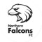 Northern Falcons SC logo