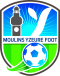 Moulins Yzeure Foot logo