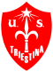 Triestina U19 logo