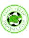 Kafue Celtic FC logo