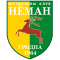 Neman logo