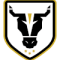 Bulls Academy logo