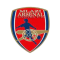 Umlazi Arsenal(w) logo