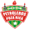 Poza Rica logo