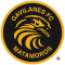 Gavilanes FC II logo