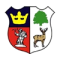 Cinderford Town logo