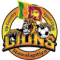 Up Country Lions SC logo