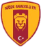 Niğde Anadolu FK logo