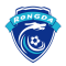 Baoding Rongda FC logo