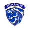 Dagon Port FC U20 logo