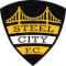 Pittsburgh Steel City(w) logo