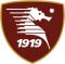 Salernitana U19 logo