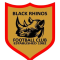 Black Rhinos logo