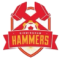 Birmingham Hammers logo