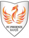 Phoenix Banje logo