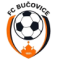 FC Bucovice logo