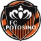 FC Potosino logo