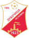 FK Dubocica logo