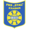 Stal Krasnik logo