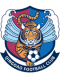 Qingdao FC logo